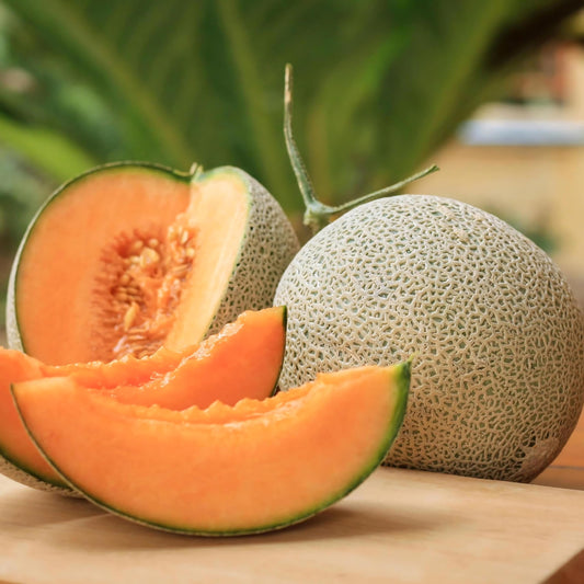 Muskmelon seeds